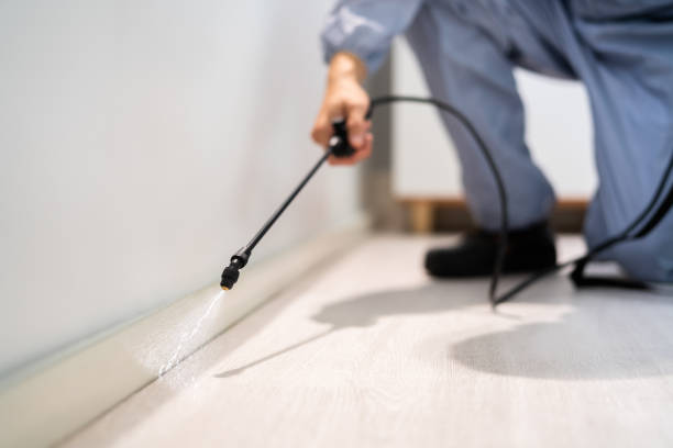 Licensed Pest Control service in St. George, SC - Show Me Pest Control