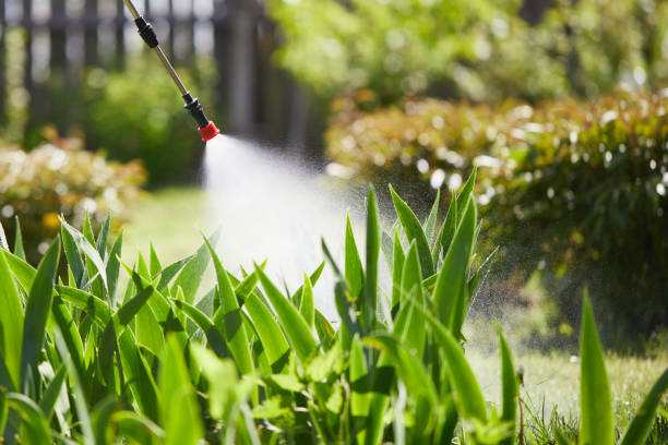 24/7 Emergency Mosquito Control experts in St. George, SC