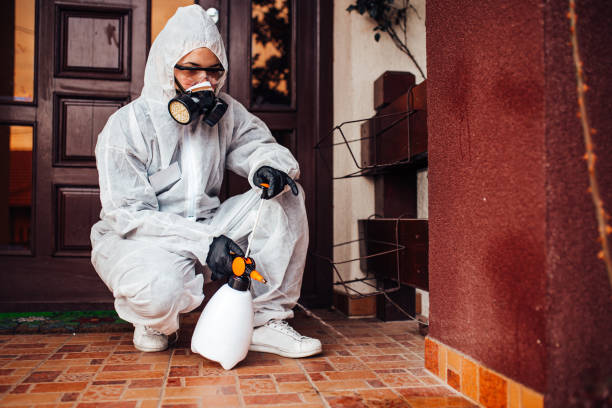 Reliable Mosquito Control contractor in St. George, SC by Show Me Pest Control